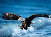 Khương Lưu Đình