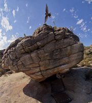 Catherine Esterhuizen