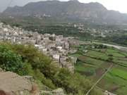 إبراهيم محرم