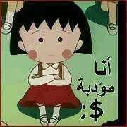 Alaa Elmekkawy