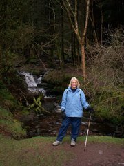 Jane Donald