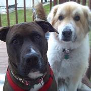 Christopher Kulovitz