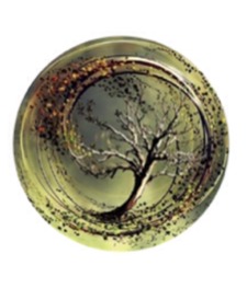 Matilda Fridqvist nimvik