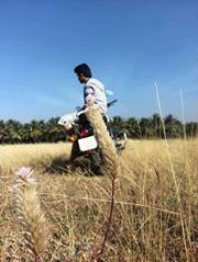 Rakshith Mallikarjun