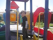 مرتضى الرماحي