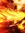 Maxipants | 1 comments