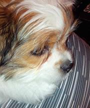 Gwen Chalmers-moffat