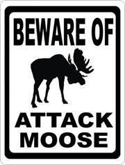 Rene Moose