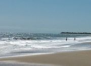 Kimberly Sparkman pace