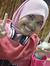 Nur Sya...