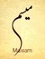 Maisam ...