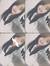 Stella Eng