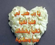 أفنان عبدالله