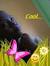 Nurul W...