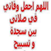 السيد محمدعلي