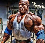 Šhaffaŋ ÇĦauđĥřy