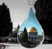 Anfal Mohammad