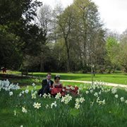 Claudia Hammarlund sim