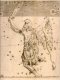 Orion