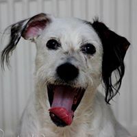 Victoria Widerkrantz