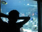 Simon Luna patiarroy