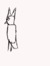 Noctowl