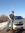 Lohit
