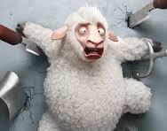 Eric Sheepo Lambo Sheep