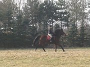 Aleksandra Wieczorkiewicz