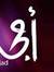 أمجد مجدي