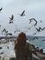 Arzu Al...