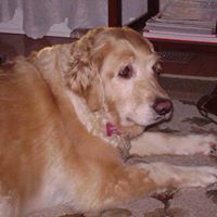 Jana Montgomery moen