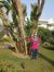 Abeer E...