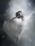 Amy Badr El-Din