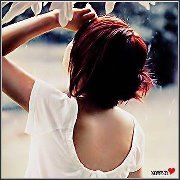 الورد الاحمر