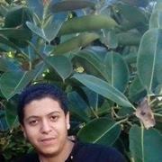 Ahmed Ali