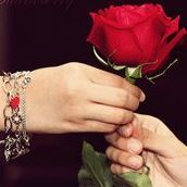 امير المحبه