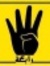Ayman S...