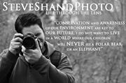 Steve Shand