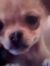 Nancy O...