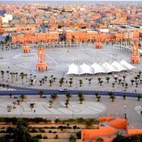 نورس الصحراء