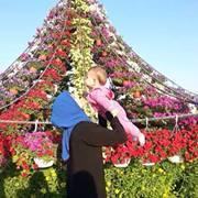 Манар Давлат