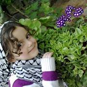 يونس الجزائري