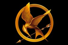 Feathersofthemockingjay