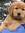 Olivialovesdogs