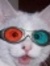 Chris G...