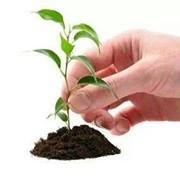 Prabhakar Nagalingam