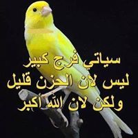 Ahmed Tifa