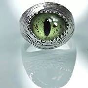 وسام الفيتورى