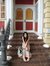 Grace Yang